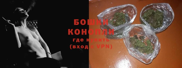 сатива Богданович