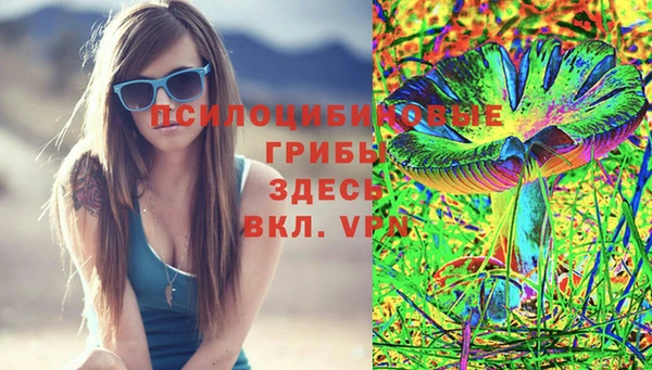 сатива Богданович